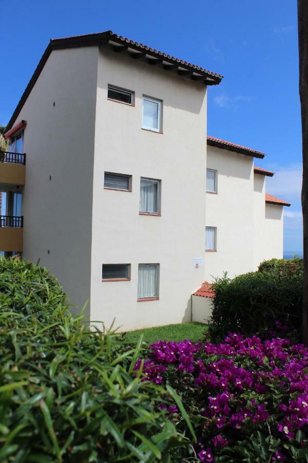 Holidaynorthtenerife Exotic Apartament Лос-Реалехос Экстерьер фото
