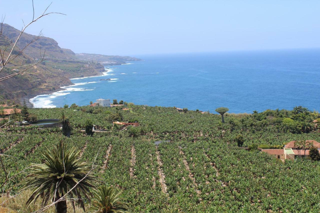 Holidaynorthtenerife Exotic Apartament Лос-Реалехос Экстерьер фото